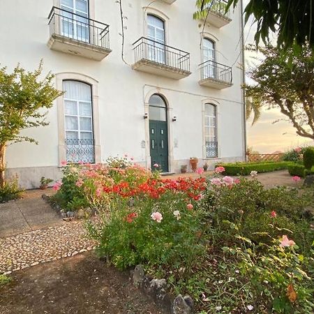 Altissima Guesthouse Penacova Εξωτερικό φωτογραφία