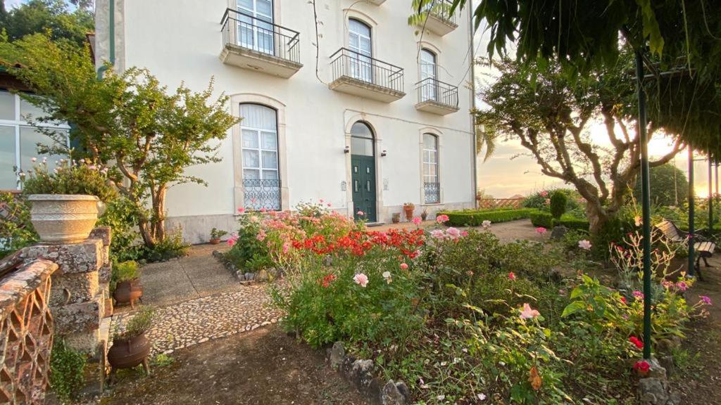 Altissima Guesthouse Penacova Εξωτερικό φωτογραφία